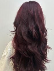 -汤尼英盖TONI&GUY-essensuals