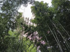 -包公祠