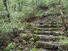 -牛背梁国家森林公园