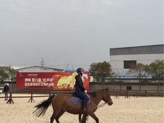 -松声马术俱乐部