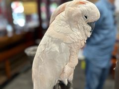 -四海楼(如皋定慧禅寺店)