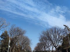 -中国人民抗日战争纪念雕塑园
