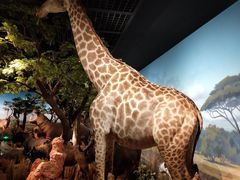 -陕西自然博物馆