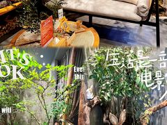 -森SPA·泰式按摩·精油Massage(宝安中心店)