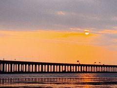 -宝安西湾红树林湿地公园