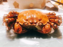 成隆行精选大闸蟹-成隆行·蟹王府(九江路店)