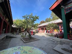 -宫事颐庭·老佛爷贵寿下午茶(颐和园店)