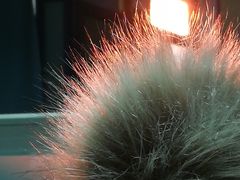 -大润发(花雨店)