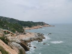 -广东惠东海龟国家级自然保护区