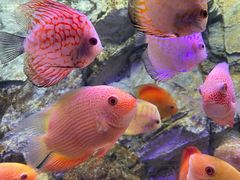 -多彩贵州城极地海洋世界