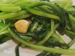 -以前的小酒馆(中山广场店)