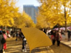 -辽宁大学(崇山校区)
