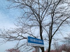 -上海辰山植物园