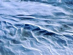 -野鸭湖国家湿地公园