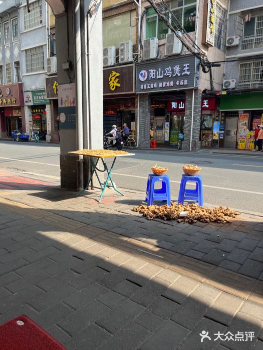 沙湾姜埋奶(兴新包店)图片