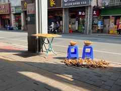 -沙湾姜埋奶(兴新包店)