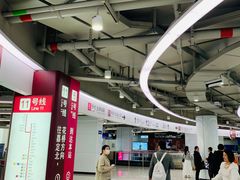 -东方体育中心(地铁站)