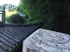 -长沙黑麋峰国家森林公园