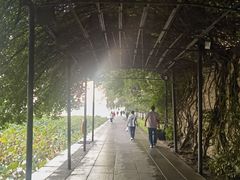 -济南大明湖景区