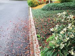 -浙江西子宾馆·瑶园咖啡厅