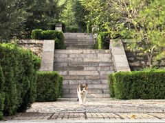 -四门塔风景区