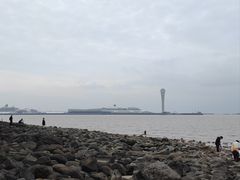 -上海吴淞炮台湾国家湿地公园