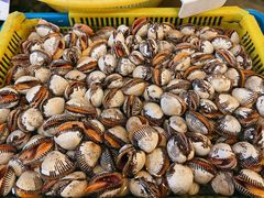 -高佳庄·舟山海鲜(海景旗舰店)