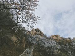 -北京凤凰岭