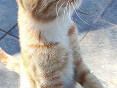 -终南山南五台景区