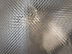 -立德动物医院·重症转诊·24H夜诊·CT·心脏彩超(顺德中心分院)