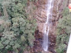 -九龙江国家森林公园