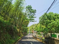 -四明山国家森林公园