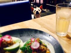 -Cactus墨西哥仙人掌餐厅