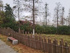 -瑶湖郊野森林公园