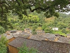 -杨家堂村