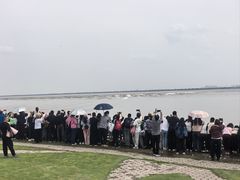 -观潮胜地公园
