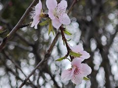 -九里河湿地公园