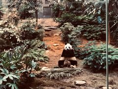 -香港海洋公园