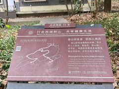 -九曜山