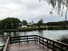 -新江湾城公园
