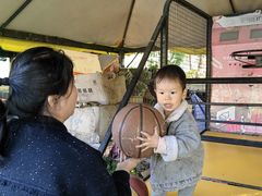 -尚庄度假村·庭台树下·户外烧烤·团建CS·轰趴营地(上庄水库店)