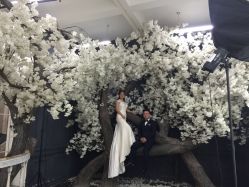 点击看大图 -唯一视觉婚纱摄影(李家村店)
