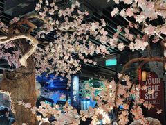 -桂满陇-西湖船宴(西单大悦城店)