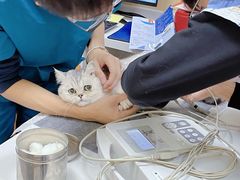 -康成宠物医院24H·CT·核磁共振