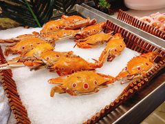 -吉布鲁牛排海鲜自助(龙湖北城天街购物广场店)