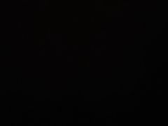 -鹭园酒家·四十年老字号