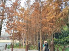 -重庆彩云湖湿地公园