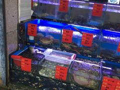 -金海湾海鲜排档(朱家尖店)