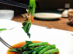 广东菜心-觀芷隐轩