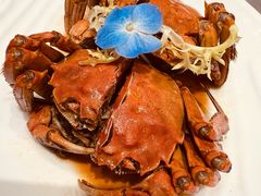 -新雅粤菜馆(南京东路店)